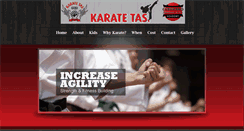 Desktop Screenshot of karatetas.com