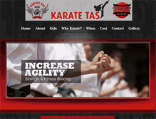 Tablet Screenshot of karatetas.com